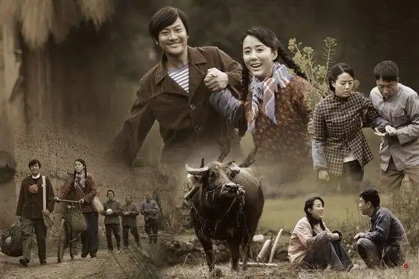 电视剧《油菜花香》是一部以上个世纪七十年代为背景,讲述一个农村