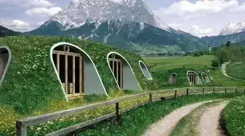 中国窑洞,摇身一变成美国新型房屋?