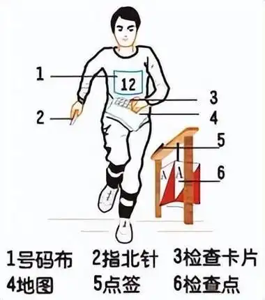 定向越野是什么?带你了解这项运动 - 生活 - 布条百科