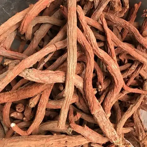 红丹参 丹参 红丹参 500g包邮