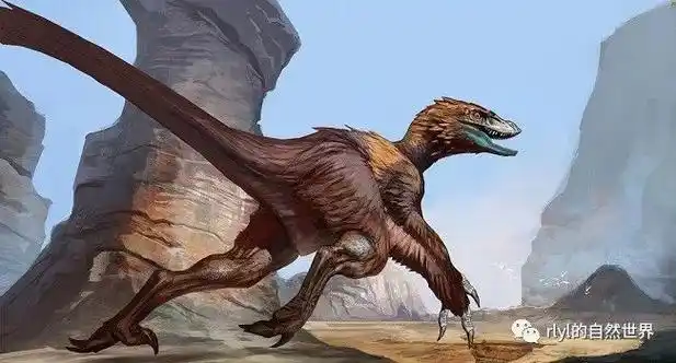 恐龙探索灵动迅捷天宇龙