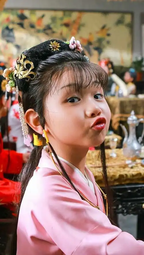 红楼梦贾惜春崔傲菲儿