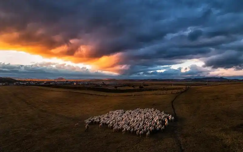 乌兰布统草原金秋美景高清桌面壁纸
