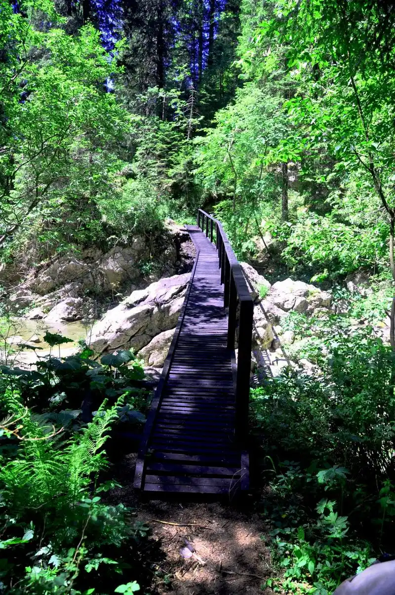 鹤伴山国家森林公园,被誉为"泰山副岳",位于山东省滨州市邹平市西董