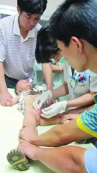 南京一藏獒逃脱连咬5人 两岁男童下体重伤(图)