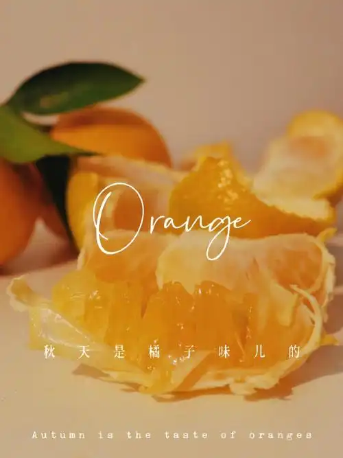 看到这画面,让我想到了南拳妈妈的橘子汽水