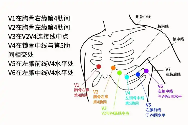 十二导联心电图详解_39健康网_精编内容
