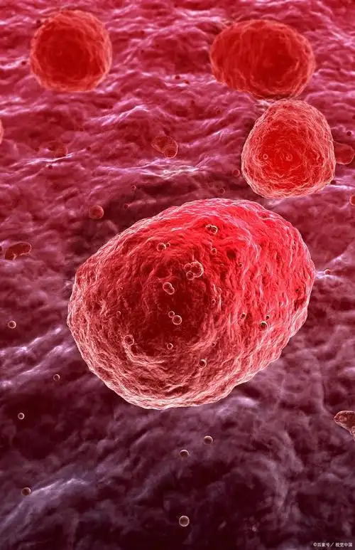 免疫细胞都有哪些种类?它们的作用是什么?