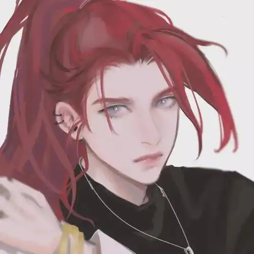 王者英雄头像韩信2红头发帅哥我prprpr