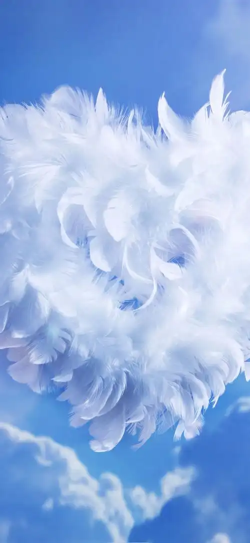 白色羽毛爱心,天空,阳光 iphone 壁纸