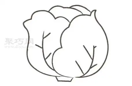 如何画卷心菜最简单卷心菜简笔画画法