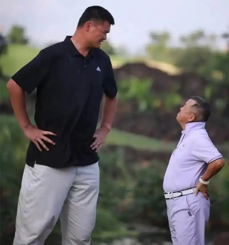 曾志伟和姚明完美的诠释了什么叫做"最萌身高差"!