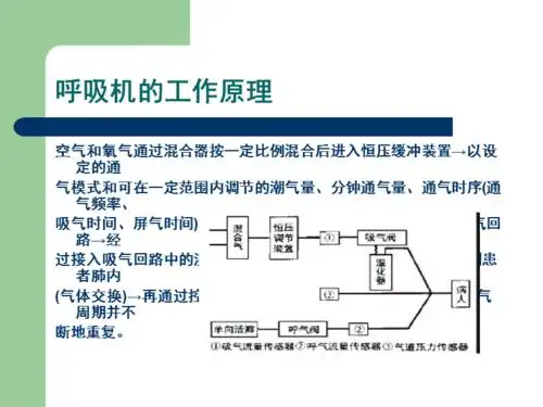 呼吸机基本使用方法51819