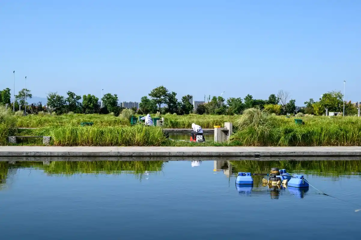 原创浙江衢州生态旅游好去处:龙和渔业园,一个以鱼为主题的小众景点