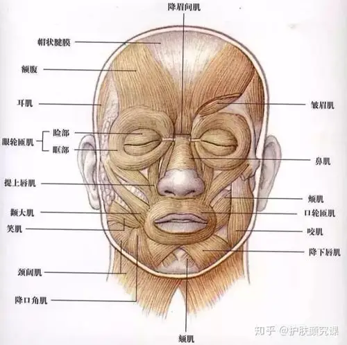 为什么娱乐圈先老的都是浓颜脸?