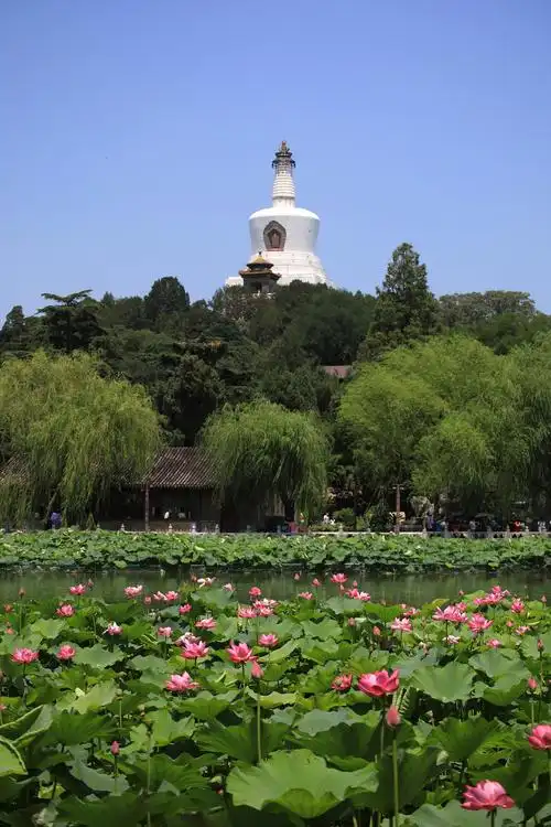 【图片11】北京北海公园--蜂鸟论坛照片套图