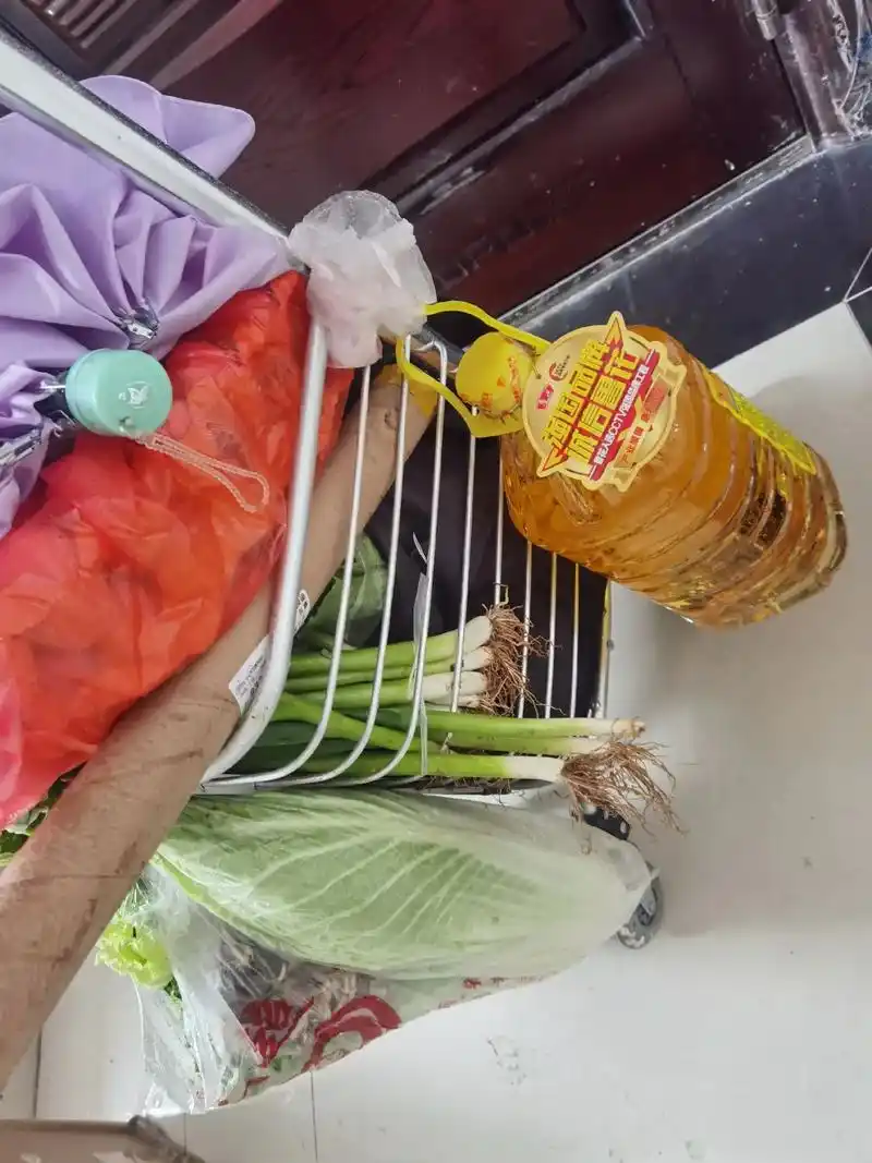 早上大雨去买菜,中午做饭送去给工人吃了,吃完回家收拾一下就下 - 抖