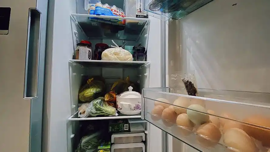 选完冰箱我们再从间室收纳聊聊冰箱的气味管理