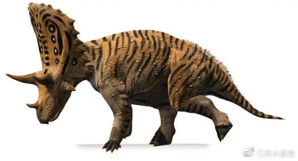 7500万年前的神奇角龙发型很酷