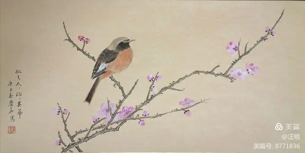 中国画/陶庆华花鸟作品鉴赏