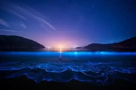 星空大海壁纸