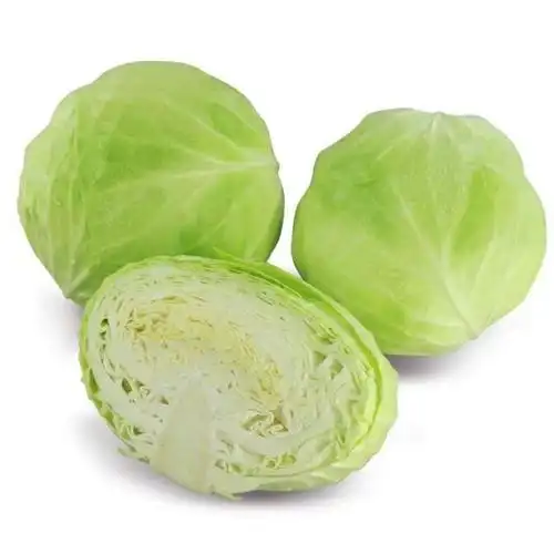 河南新鲜绿甘蓝非2/10斤5斤圆白菜农家卷心沙拉椰菜包菜蔬菜 三斤包菜