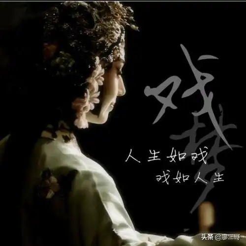 都说人生如戏戏如人生可导演是谁