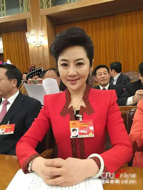 据悉,这位受网友热捧的人大代表叫孙维,她不仅是全国人大代表和全国青