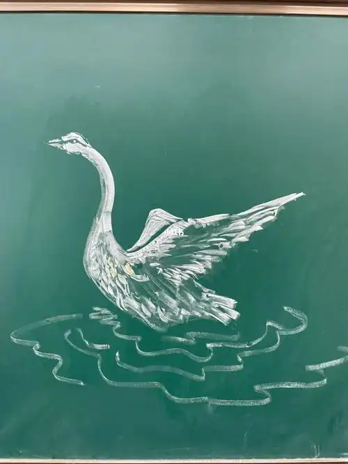 粉笔画鹅
