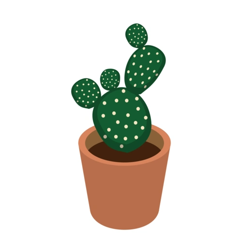 绿色多肉植物贴纸