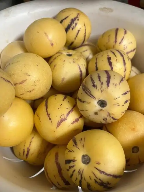 清新甜美的人参果