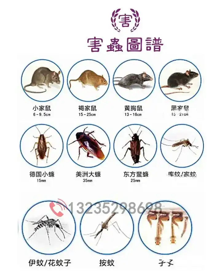 防害虫必备图谱,从认识家庭害虫开始.929991害虫图谱,一 - 抖音