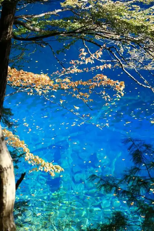 人间仙境,九寨沟.