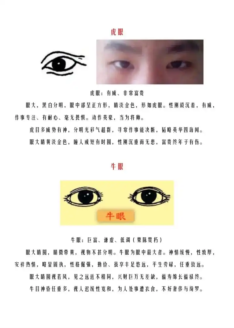 眼相②.#国学文化 #面相 #识人术 #眼睛 #眼神杀 - 抖音