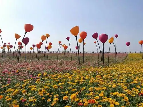 枫林花海花样景观区好玩吗 枫林花海花样景观区介绍-常德宝