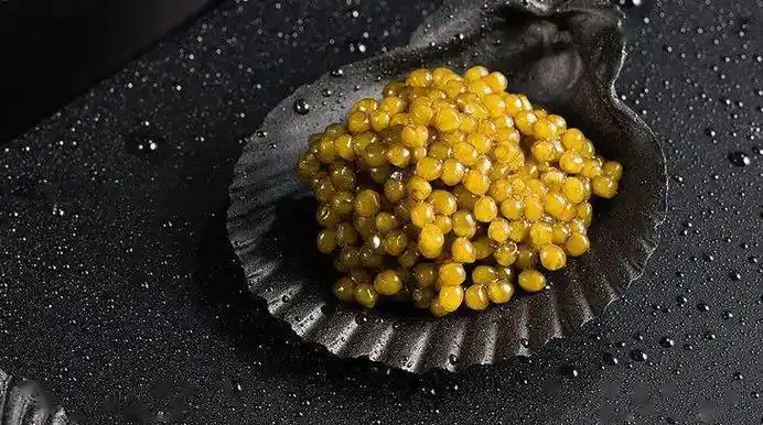 对不起,西方人爱吃的鱼子酱是我们中国产的_柯普罗