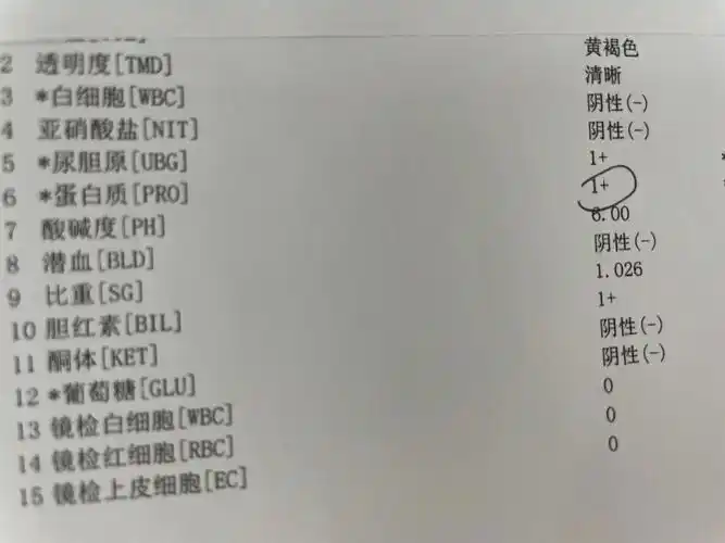 孕17周772产检日记