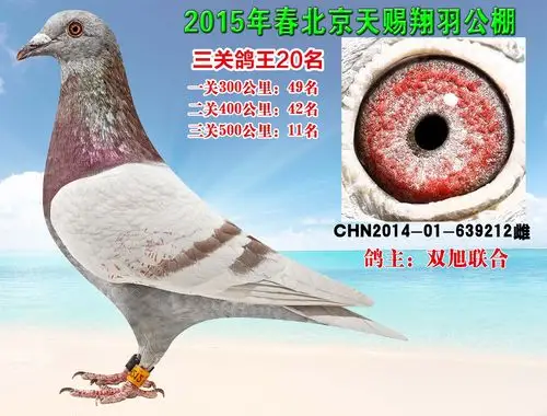 >> 查看拍卖商品