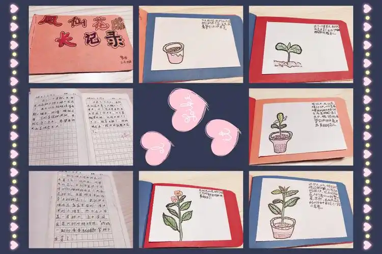 三(7)班的科学观察日记