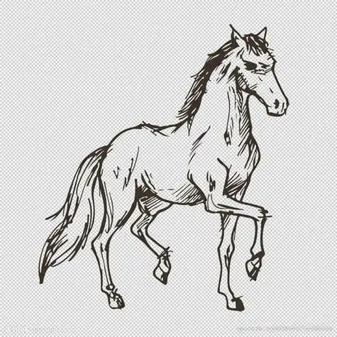 简笔画马图片简笔画马图片大全大图
