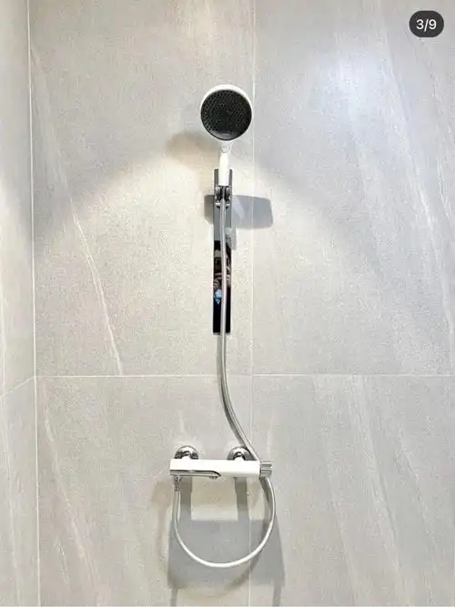 汉斯格雅镜雨花洒完美下车荷兰发货