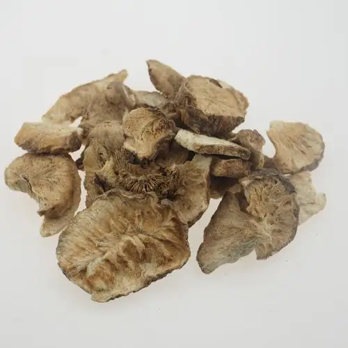 批发中药材 菊苣 菊苣根片 供应各种冷背药材