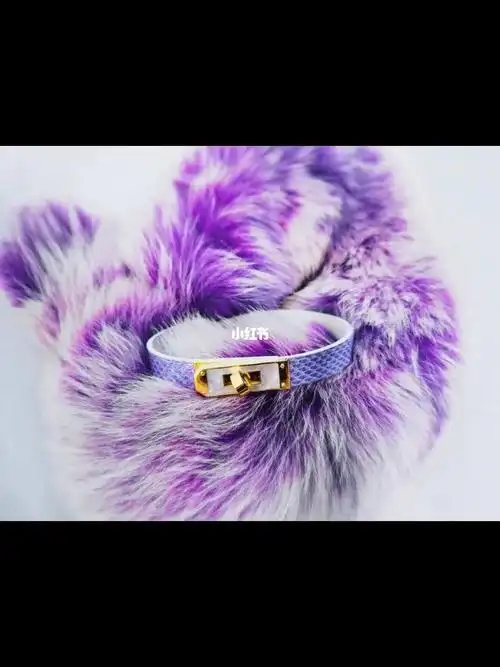 项圈和尾巴最配哦66