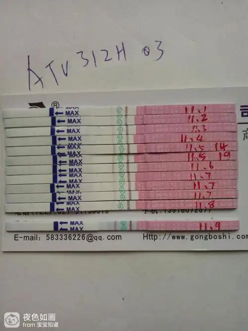 排卵试纸二次强阳,难道排了两次卵?