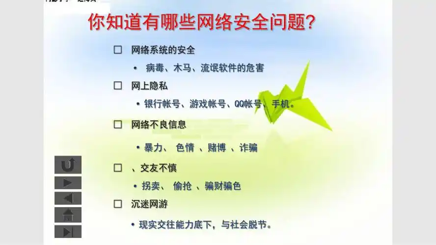 小学生网络安全教育11