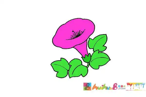 牵牛花简笔画_1怎么画简笔画教程_绘画吧-画画