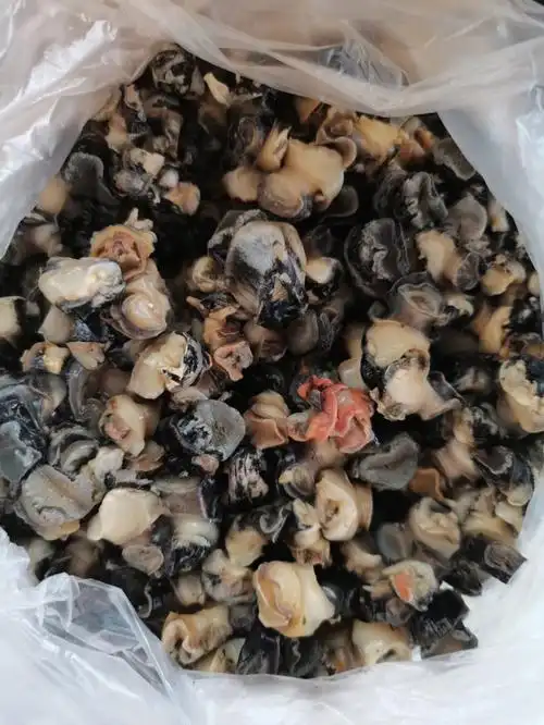 福寿螺肉还是田螺肉有懂的姐妹吗