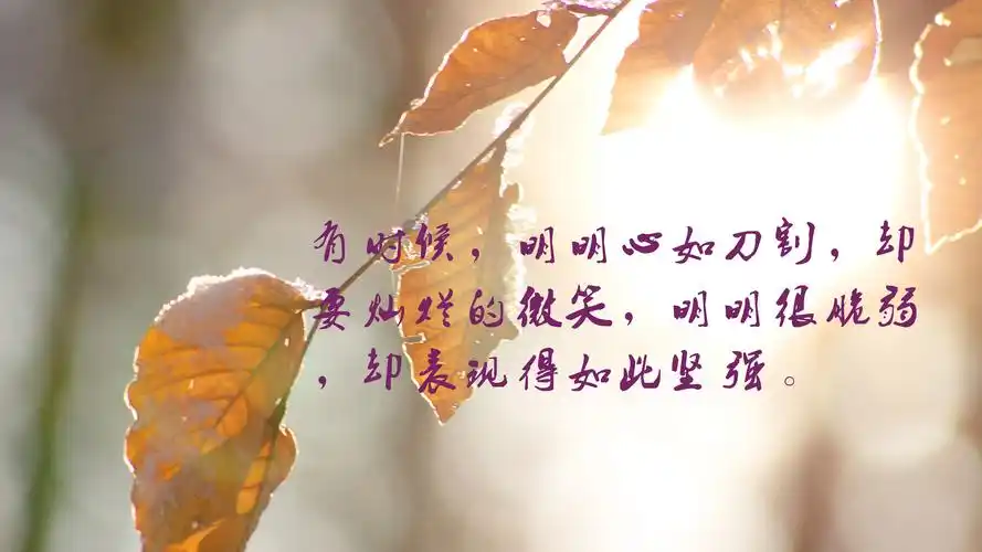 心情不好的说说带字图片,非主流-回车桌面