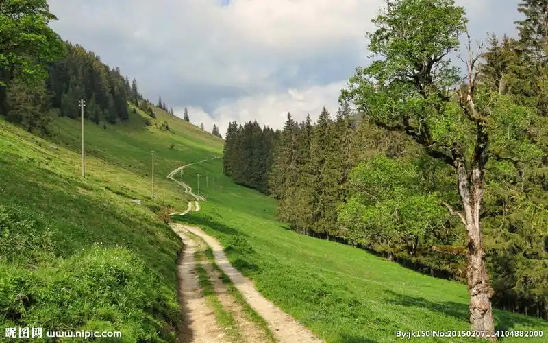 山坡草地图片