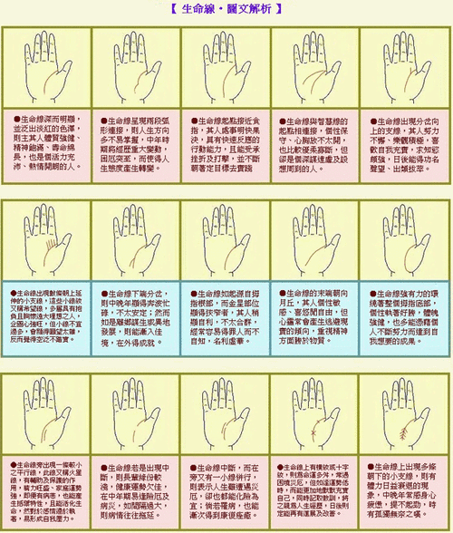 成涛掌相(5)生命线图解